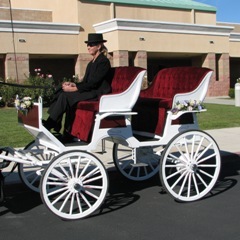 white surrey wedding carriage