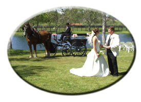 bride & groom with carriage by lake