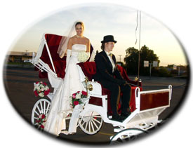 white wedding carriage with bride