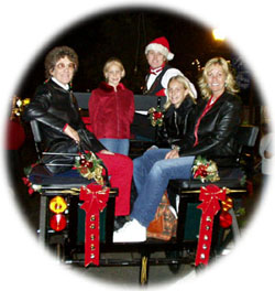 smiling people riding in the back of black carriage with Christmas decorations